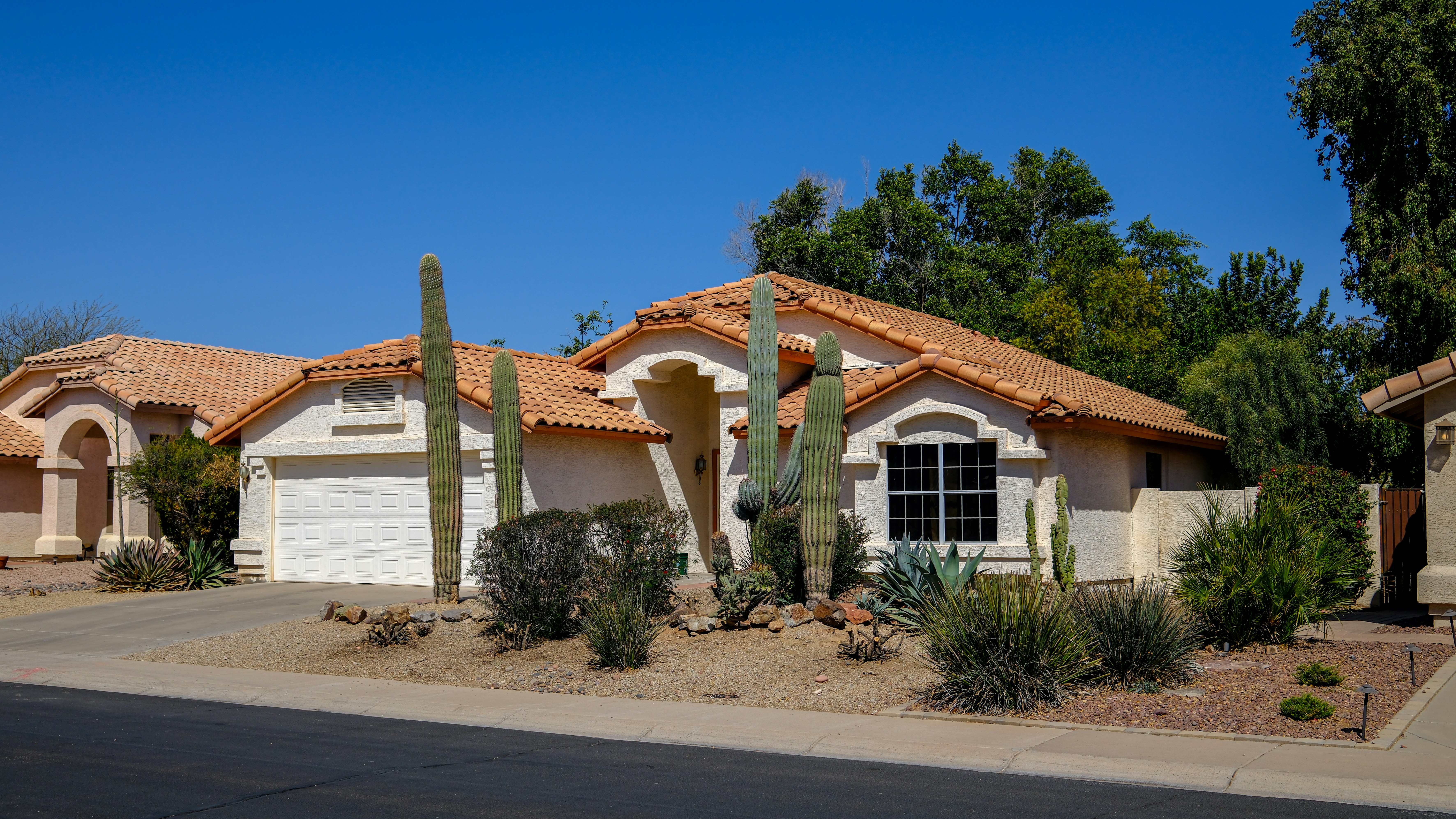 Arizona home exterior with desert landscaping